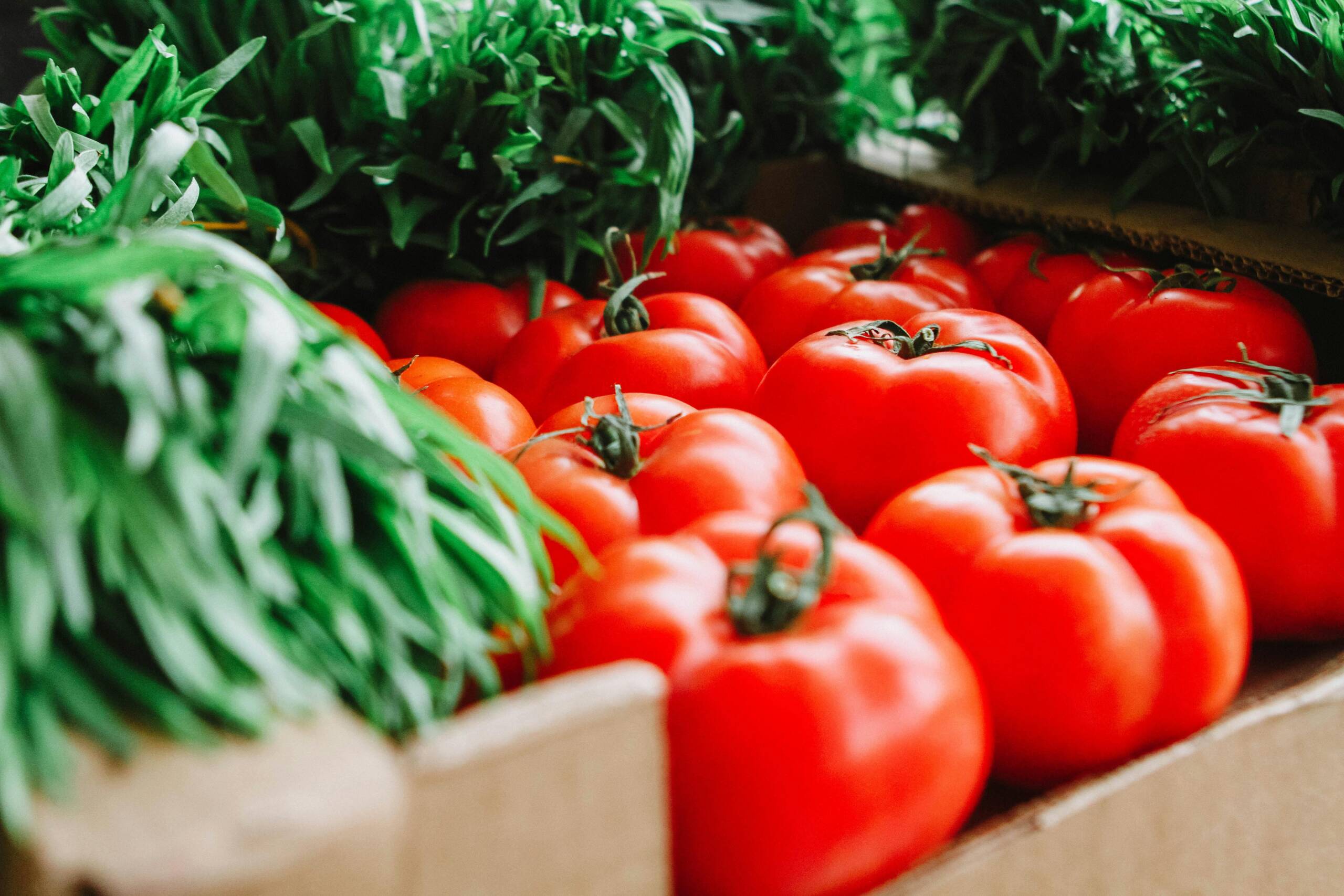 Tomato in market