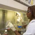 Experts Urge Government to Back Cancer Cell Line Lab for Herbal Medicine Research