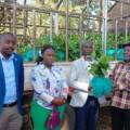 Ibanda Farmers Receive 50,000 Coffee Seedlings to Boost Production